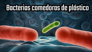 Las bacterias que pueden salvar al planeta de la contaminación por plásticos [upl. by Guglielma374]