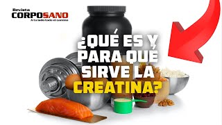 💪 CREATINA ¿que es y CÓMO funciona Creatina Suplementos SaludFitness [upl. by Ellynn]