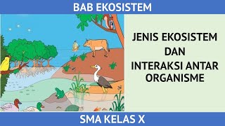 Jenis Ekosistem dan Interaksi antar komponen Ekosistem  Biologi Kelas X [upl. by Norraa872]