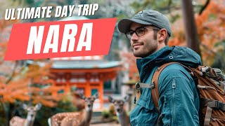 Ultimate Day Trip to Nara Japan  Day Trip from Osaka [upl. by Nylirahs]