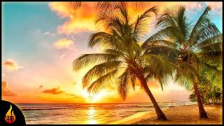 Island Reggae Music  Upbeat Tropics  Tropical Island Beach Music [upl. by Halstead842]