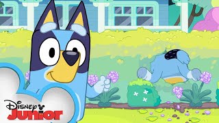 Bluey Season 3 Episode 39 quotExercisequot Episode Clip  disneyjr x BlueyOfficialChannel [upl. by Asyar193]