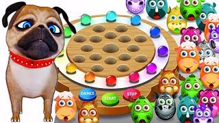 Learn Colors With Talking Pets Dog Animals Dragon Tiger Donkey Owl Dancing Surprise Eggs [upl. by Glenden282]