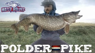 WWFC  POLDER PIKE snoek brochet hecht poldre holland snoeken poldres brochets hollandais peche [upl. by Pfosi928]