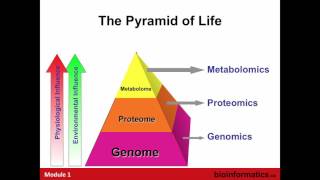 Introduction to Metabolomics [upl. by Eetsirk]