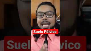 Las Pesas DAÑAN tu Suelo Pélvico [upl. by Gavan]