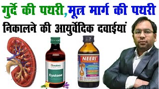 Difference Between Himalaya Cystone and Himalaya Cystone and Amil Neeri in Hindi Dr Shamoon [upl. by Hepsibah]