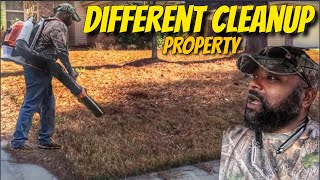 Easiest Pine needle cleanup by my self [upl. by Aicrag413]