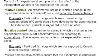 Hypotheses Variables and Controls [upl. by Hwang]