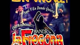 banda la fregona en vivo 2015 [upl. by Aihpos623]