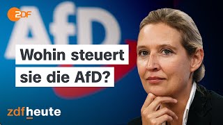 Alice Weidel und ihre Rolle in der AfD  Berlin direkt [upl. by Lrub230]