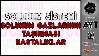 26 Solunum Sistemi  Solunum Gazlarının Taşınması  Hastalıklar [upl. by Verina]