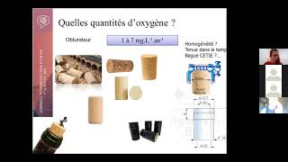 JTVigneVinBio21  Webinaire quotVins sans sulfites ajoutésquot [upl. by Holcomb]