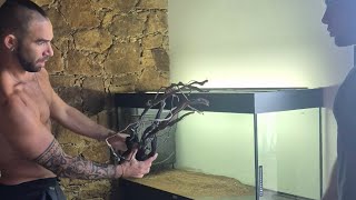 aquascaping 250 L  petit budget [upl. by Doowrehs]