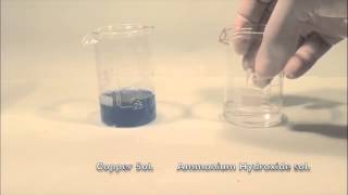 Reaction of Copper solution with Ammonium Hydroxide solution [upl. by Namruht]