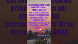 Frases de amor 💜 para dedicar [upl. by Amieva32]