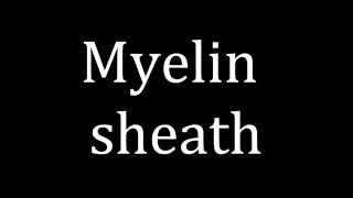 How to pronounce Myelin sheath [upl. by Niawd]