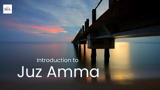 Introduction to Juz Amma  Sr Fawzia Belal [upl. by Dazhehs904]