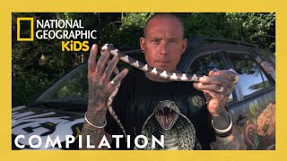 Snake Facts with Professional Snake Catchers 🐍  Nat Geo Kids Compilation  natgeokids [upl. by Yun]