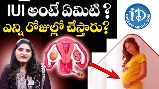 IUI Treatment Procedure Costs Success Rates Telugu  MOM IVF amp RESEARCH CENTER  iDream Health [upl. by Aniela]