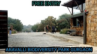 Aravalli Biodiversity park Gurgaon 😍 Walking Tour Gurugram  Best place for couples RAnywherevlog [upl. by Eramat]