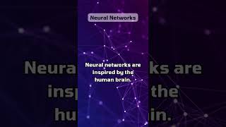 Neural Networks Fact  Rahi Jamil [upl. by Tigirb]