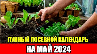 Лунный Посевной Календарь на МАЙ 2024 Воздержитесь от работ в ЭТИ ДНИ [upl. by Ulita519]