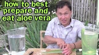 Aloe Vera A natural cure for GERD and Acid reflux symptoms [upl. by Enileve481]