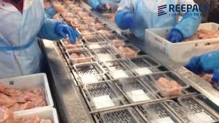 REEPACK  REEMATIC 250  FRESH CHICKEN PACKAGING [upl. by Frances]