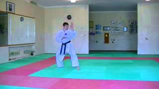 Demonstration KATA pinan shodan WADO KAI [upl. by Adiazteb]