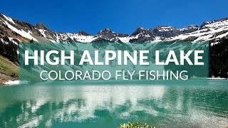 FLY FISHING COLORADO  Native Cutthroat Trout  Alpine Lakes [upl. by Lyn808]