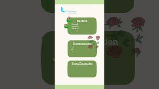 Sexual Reproduction in Flowering Plants biology thelearnyn shorts [upl. by Latsyrhc]