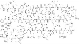 SILENT TB 500  THYMOSIN BETA 4 RAPID HEALING MORPHIC FIELD [upl. by Hgielak50]