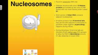 Nucleosomes Regulate Transcription 2016 IB Biology [upl. by Cathlene525]