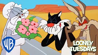 Looney Tuesdays  Who is the Greatest Trickster  Looney Tunes  WB Kids [upl. by Rorrys]