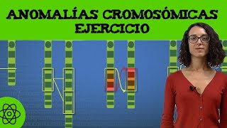 Ejercicio de anomalías cromosómicas 🧬 translocación I [upl. by Caye]