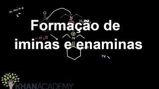 Formação de iminas e enaminas  Aldeídos e cetonas  Química orgânica  Khan Academy [upl. by Nodababus702]