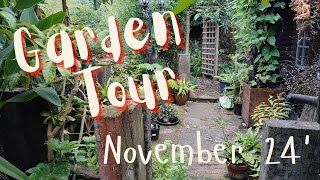 Garden Tour Nov 24 [upl. by Vez]