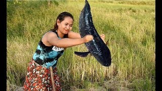 Beautifull Girl Fishing in Battambang  Amazing Beautifull Girl Catch Fish p 027 [upl. by Nikaniki780]