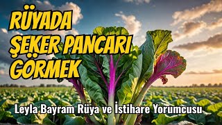 Rüyada Şeker Pancarı Görmek Ne Anlama Geliyor  Leyla Bayram Rüya ve İstihare Yorumcusu [upl. by Osnofedli]