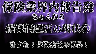 【損保代理店】告発！常に悪いのは代理店と、お客様！保険会社が横暴すぎる！ [upl. by Ahsineb]