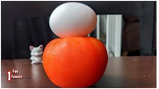 Tomato and eggs recipeThis recipe in YouTube 38 million views [upl. by Colin]