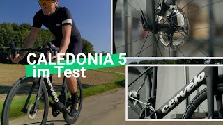 Komfort trifft Leistung Das Cervelo Caledonia 5 Ultegra Di2 im Test [upl. by Ayetal]