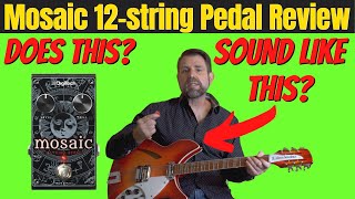 Mosaic 12String Pedal Review [upl. by Ressan]