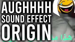 The Origin Of The Aughhhh Sound Effect  Behind The Meme [upl. by Mallon]