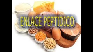 ENLACE PEPTIDICO [upl. by Anirtek]