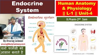 Introduction of endocrine glands and hormones  L1 Unit4  HAP [upl. by Anibla]