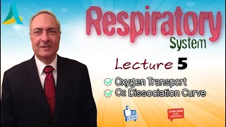 DrNagi  Live Physiology  Lecture 85  Respiration 5  O2 dissociation curves amp transport [upl. by Gilmour267]