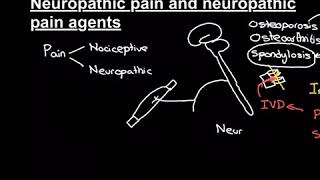 Neuropathic Pain and Neuropathic Pain Agents [upl. by Eversole]