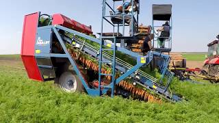 ASALIFT T300 DF Bogomaz  Bryansk Морковоуборочный комбайн  Carrot harvester [upl. by Platon]